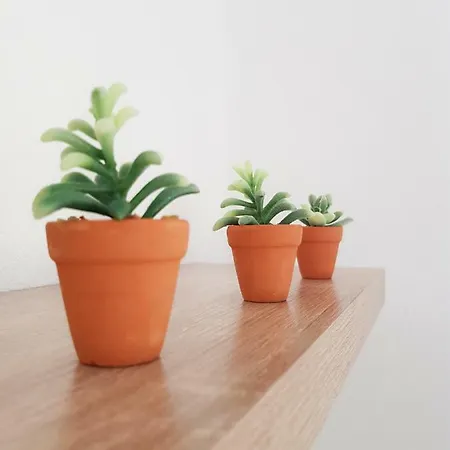 Апартаменты Stavrini's Paradise Eleftheres (Kavala)