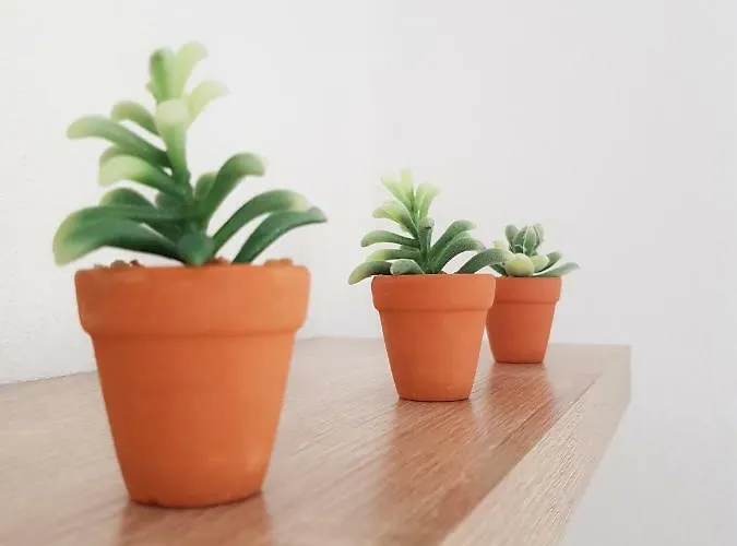 公寓 Stavrini's Paradise Elevtheraí